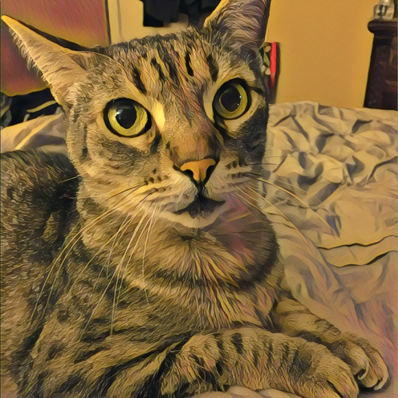 Meet your Posher... - Picture 1 of 1